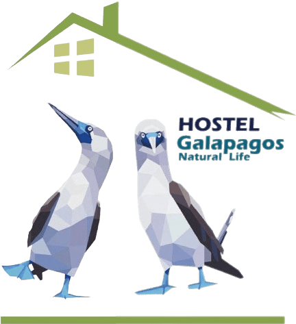 galapagos hostel natural life logo
